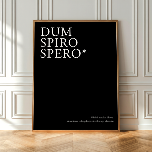 A framed black poster with white text reading 'DUM SPIRO SPERO*' leaning against a white paneled wall on a light wood floor.