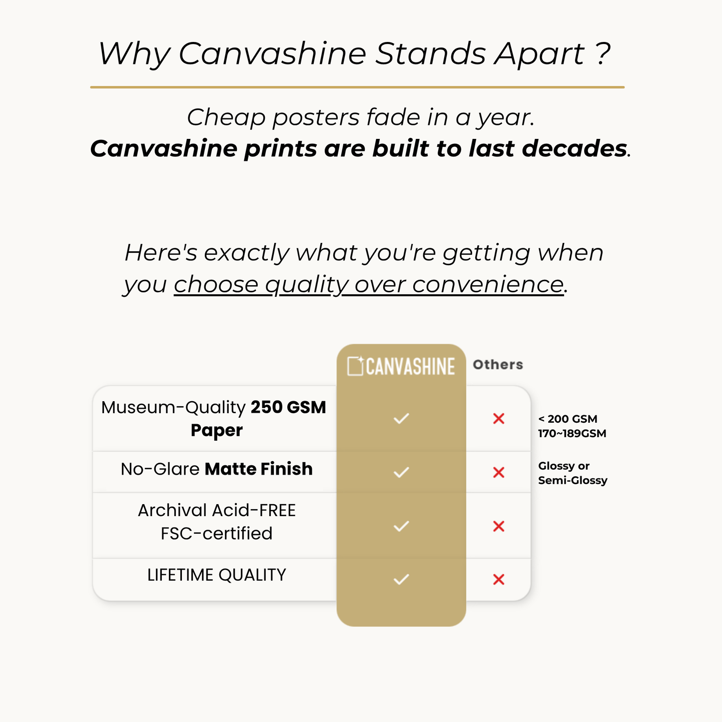 Less Noise, More Signal Productivity Poster , Museum-Quality Matte Paper